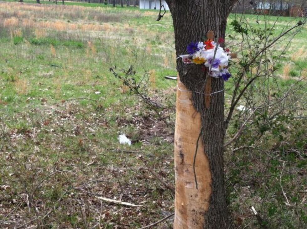 The investigation continues into what caused the crash Source: Arnold Wyrick)
