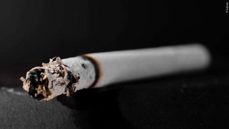 the peace cigarettes price Buy Peace Cigarettes Online ๐ โฃ Worldwide Shipping ๐