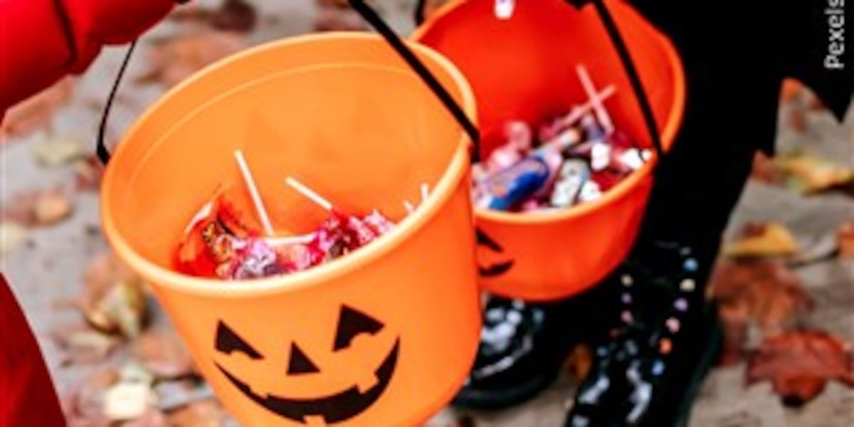 MDC to host cave-inspired Trek-N-Treat at Cape Girardeau Conservation Nature Center