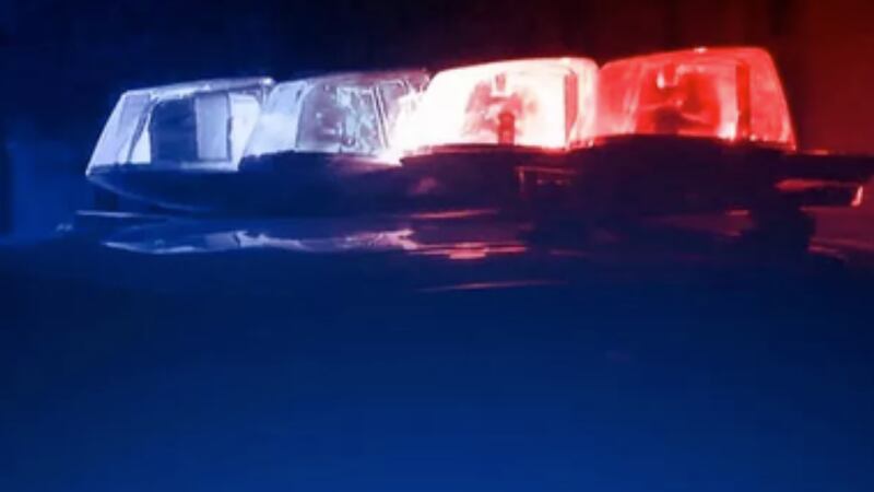 Two people are dead and three others were injured after two-vehicle crash on Interstate 57...