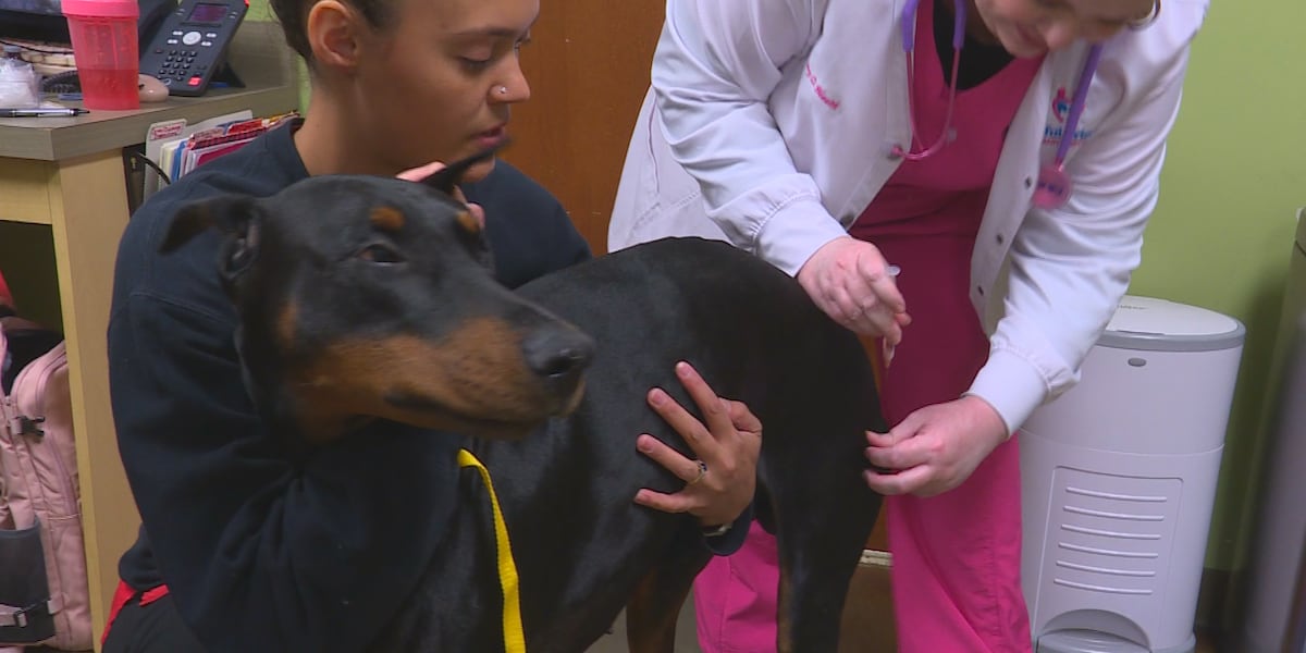Humane Society and veterinarian to host vaccine clinic