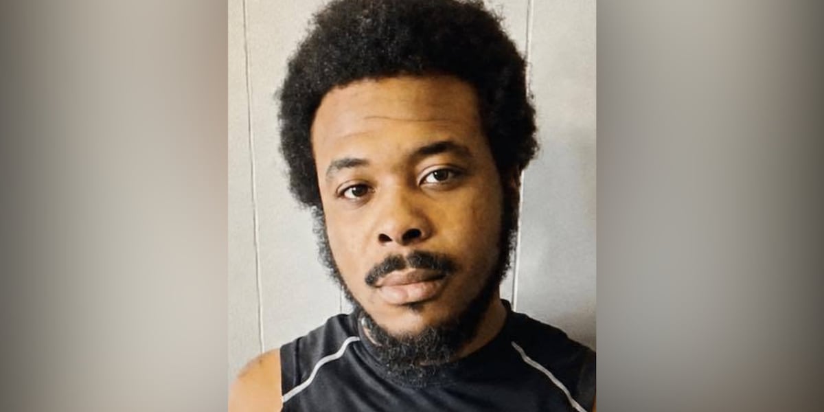 Authorities looking for wanted man who ran away during traffic stop