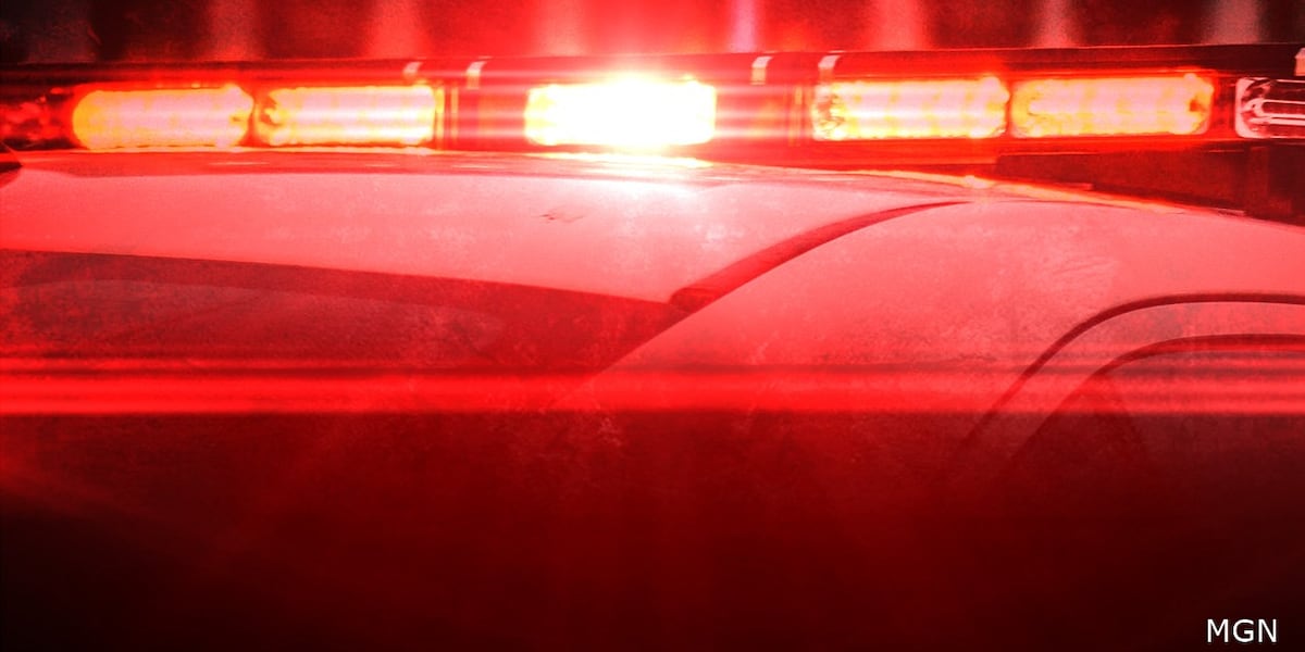 Active police scene on E. Walnut & S. Cedarview in Carbondale