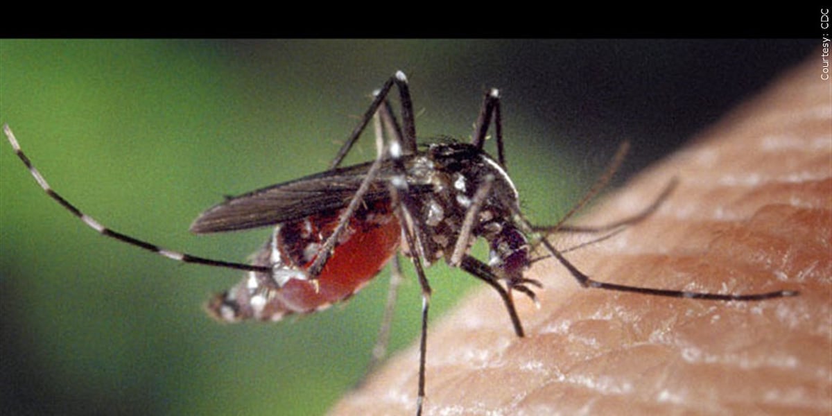 Southern 7 Health Department confirms positive test for West Nile Virus in southern Illinois