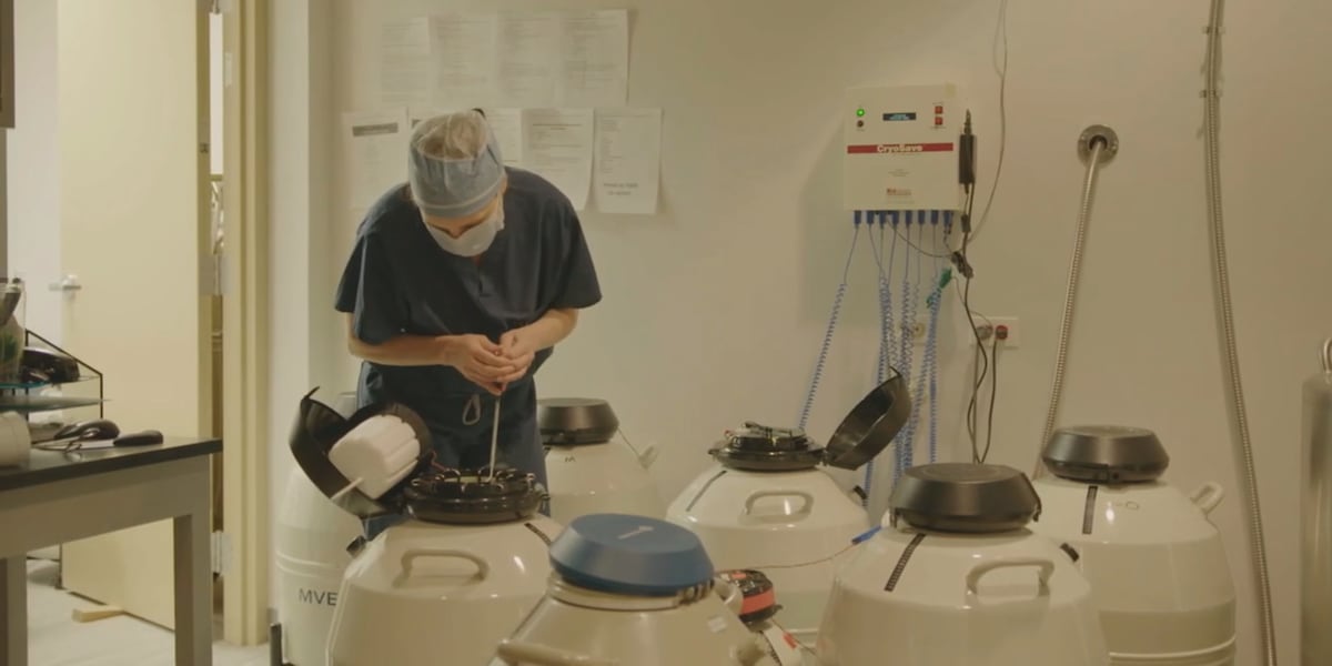 Illinois voters to face advisory question on ballot regarding reproductive healthcare Illinois voters to face advisory question on ballot regarding reproductive healthcare