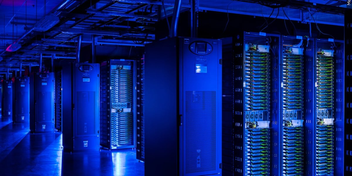 Carbondale City Council passes 1-year moratorium on data center development