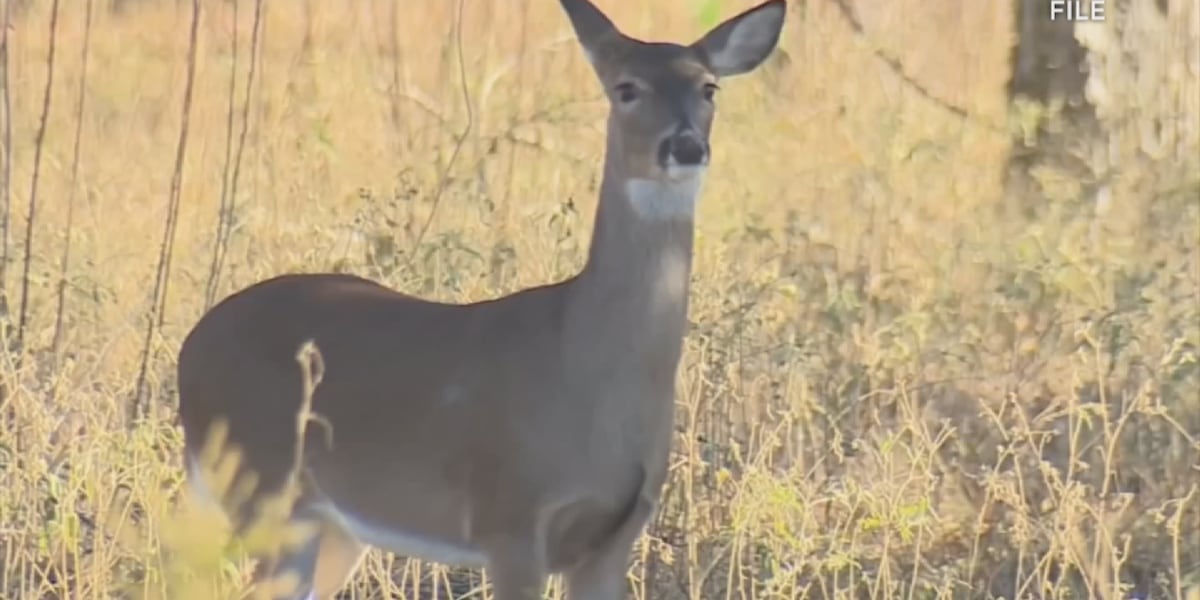 Mo. deer hunters can apply online in July for managed deer hunts