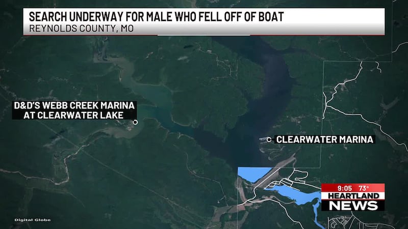 A search is underway for a man who fell overboard off a pontoon on Clearwater Lake, the...