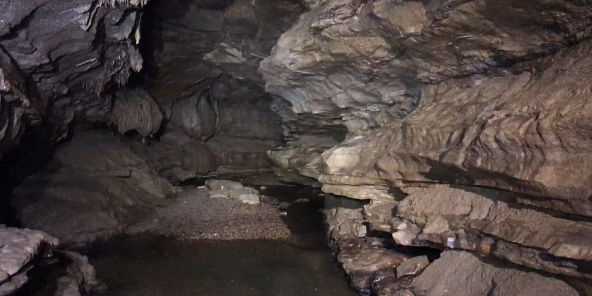 Intro to Wild Caving program will take people down into Perry County cave