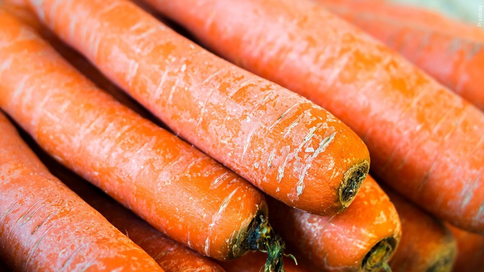 CDC warns of new E. coli outbreak linked to organic carrots
