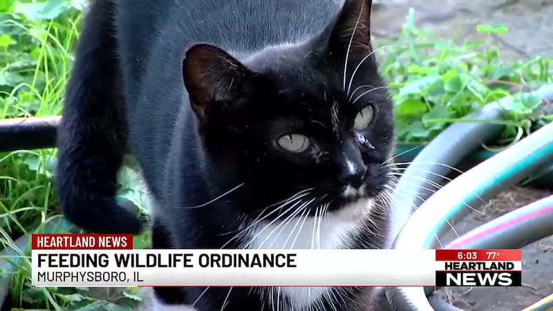 One southern Illinois town passed a new wild animal ordinance focused on ones not to feed, and...
