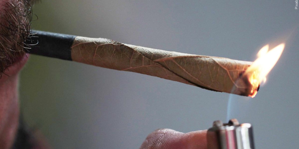 Marijuana may be bad for your heart whether smoked or taken as edibles, study suggests
