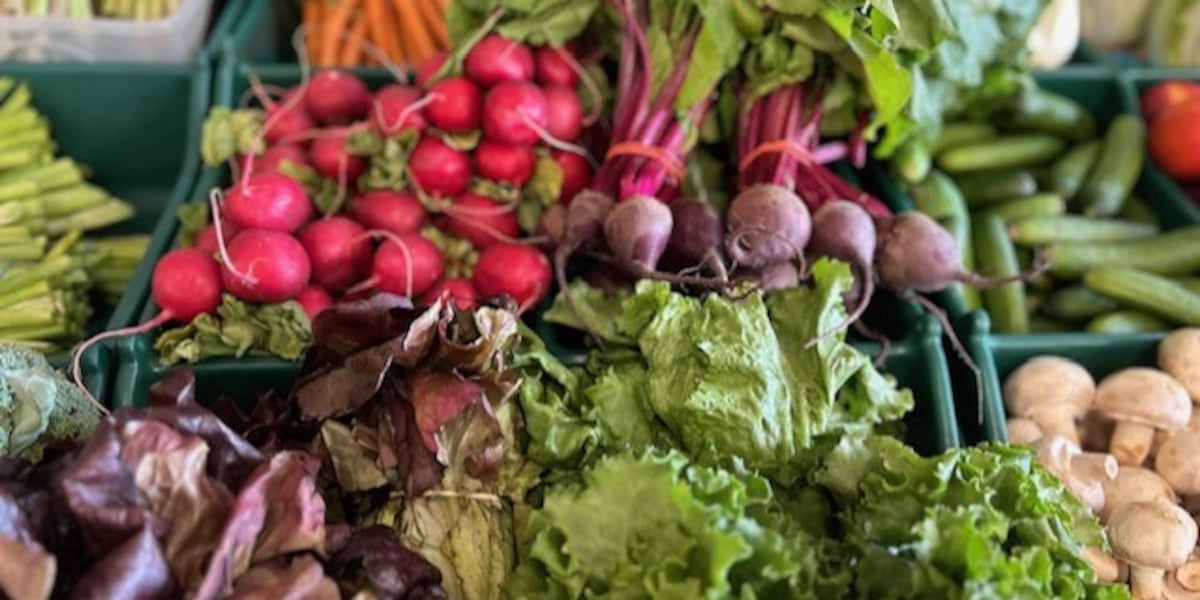 Carbondale Farmers Market to celebrate 50th anniversary