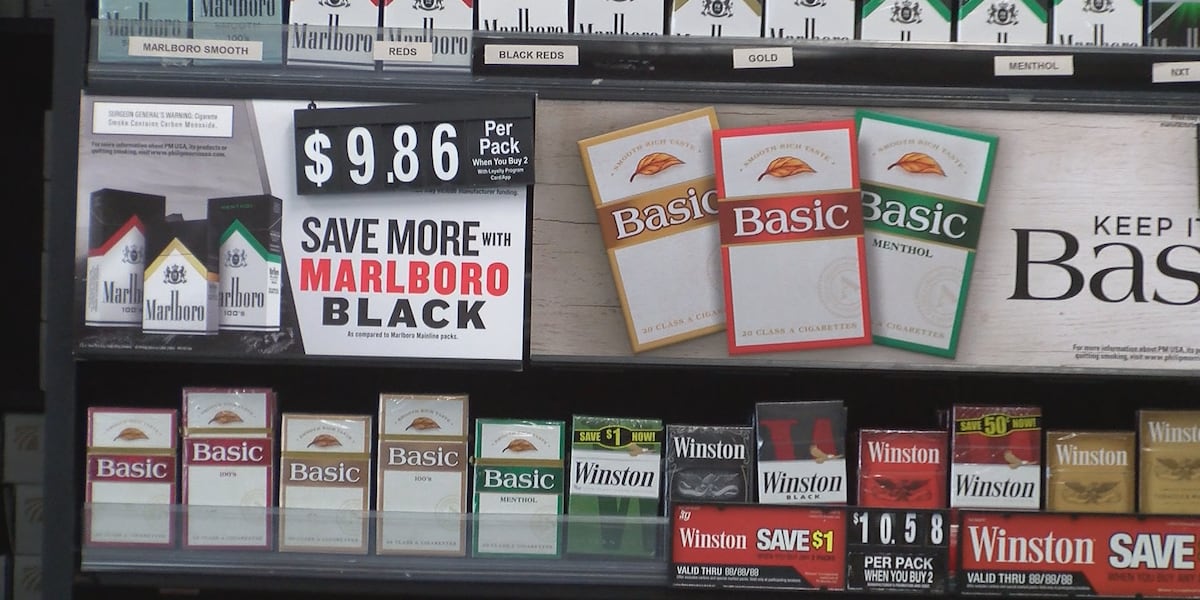 tobacco free chew pouches BaccOff Mint Pouches: Fake Chewing Tobacco to Quit Dip Tobacco tobacco free chew pouches BaccOff Mint Pouches: Fake Chewing Tobacco to Quit Dip Tobacco
