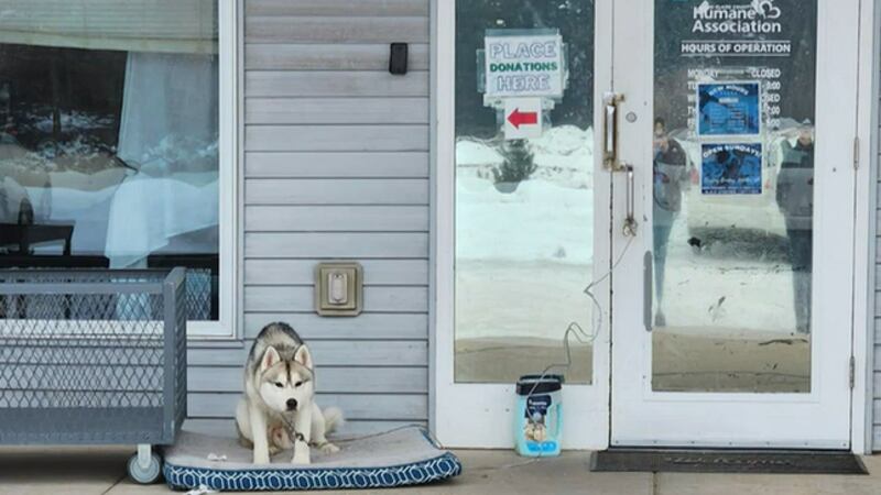 A Wisconsin animal shelter says a dog was found left outside in freezing temperatures.