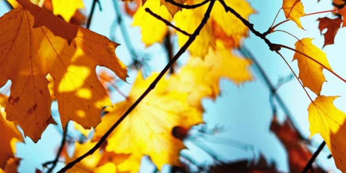 Free Missouri Dept. of Conservation events to get outdoors in the fall weather