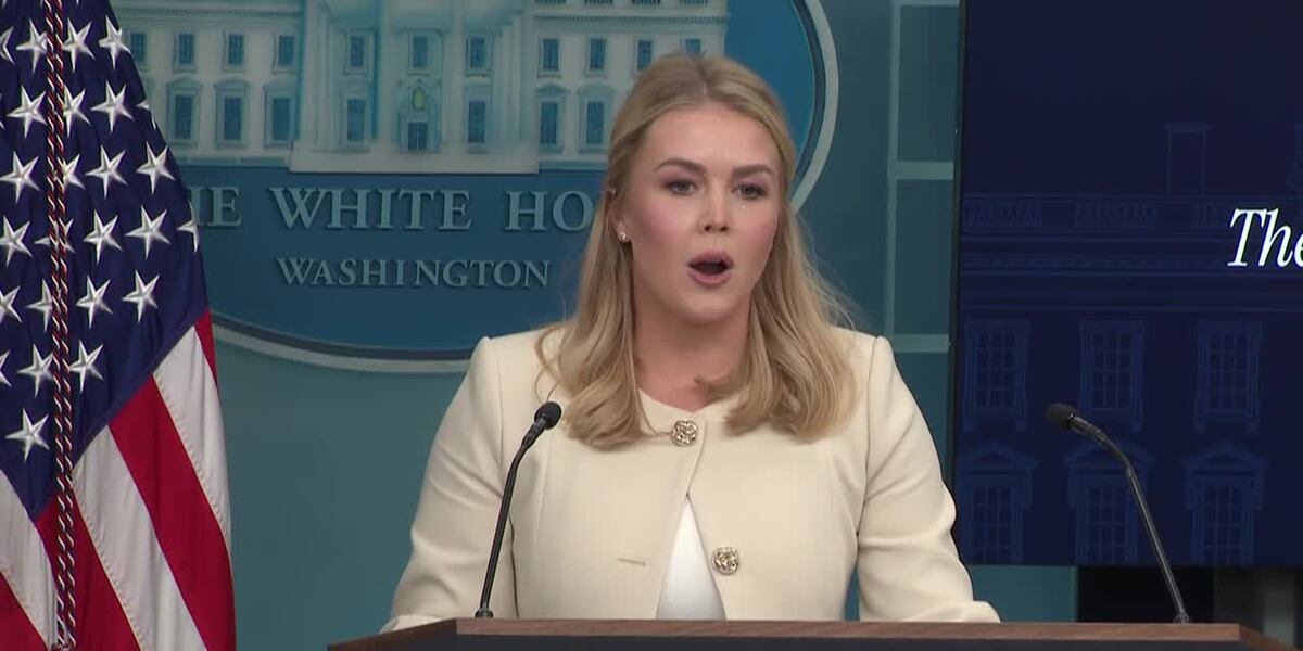 White House Press Secretary Karoline Leavitt speaks on mass deportation campaign