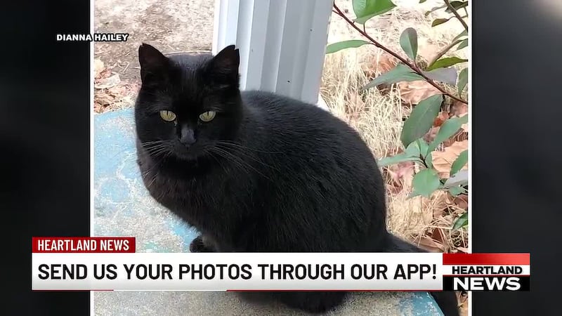 Viewer photos 10/21